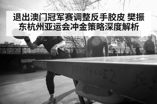 退出澳门冠军赛调整反手胶皮 樊振东杭州亚运会冲金策略深度解析
